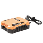 Ładowarka baterii akumulatorów plecakowych Cedrus 60V 4-8A