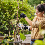 Sekator akumulatorowy STIHL ASA 20, z akumulatorem i ładowarką