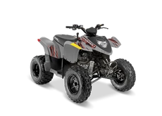 POLARIS Phoenix 200